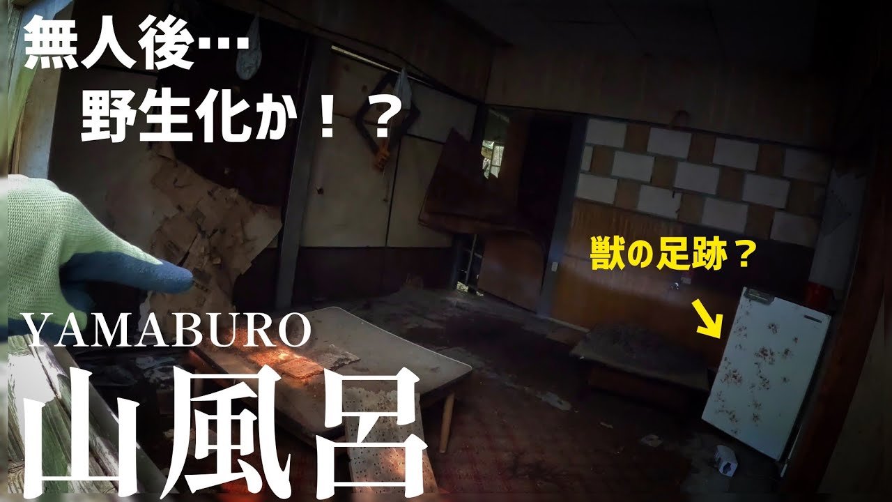 【廃村】野生動物多発か！？集落内に木造校舎残る山奥の村を歩く