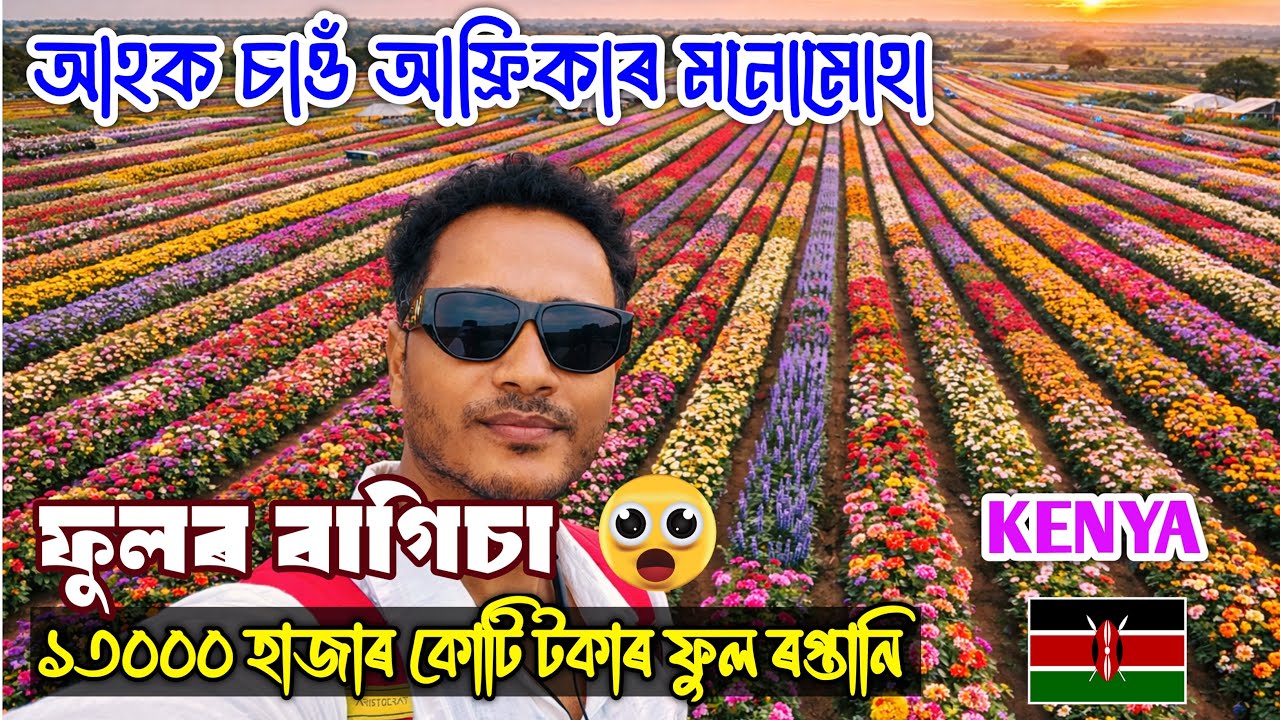 2300 বিঘাৰ ফুলৰ খেতি 😮 Explore Africa Flower Garden and Export System Nairobi,Kenya .Bhukhan Pathak 
