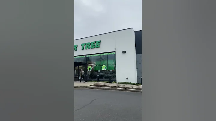 Dollar Tree DIY Challenge - Part 1 #diy #dollartreediy