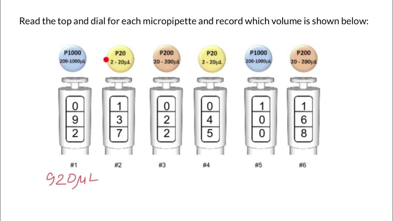 How to read and set micropipette YouTube