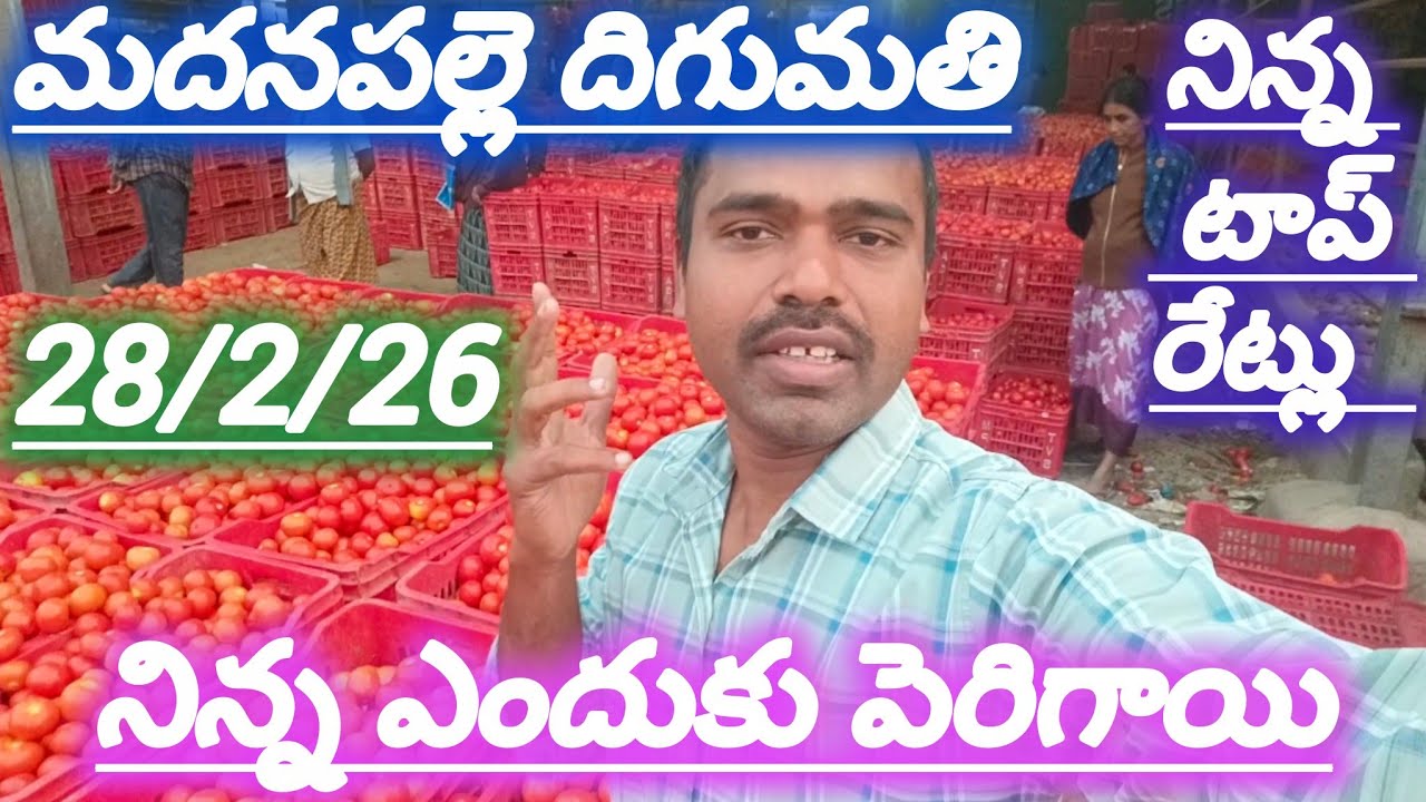 28/2/26 Madanapalle tomato market stock today 🍅 నిన్న టాప్ రేట్లు #yesterdaytomatorate #crkvideos16 