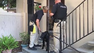 Celebrity Police nab student accused of changing grades Wealth