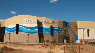 Teaser: The making of OdySea Aquarium by Cox7