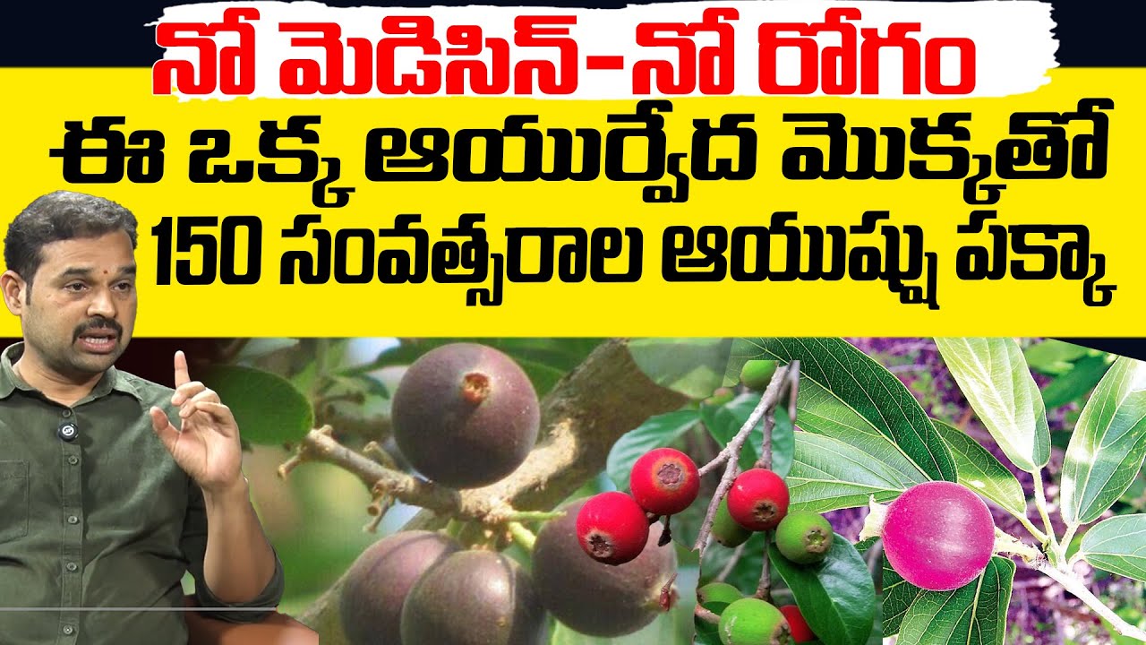 ఈ ఆయుర్వేద మొక్కతో 150 సంవత్సరాల ఆయుష్షు పక్కా | Doctor Dilip | Kyathan Arogya Kendra