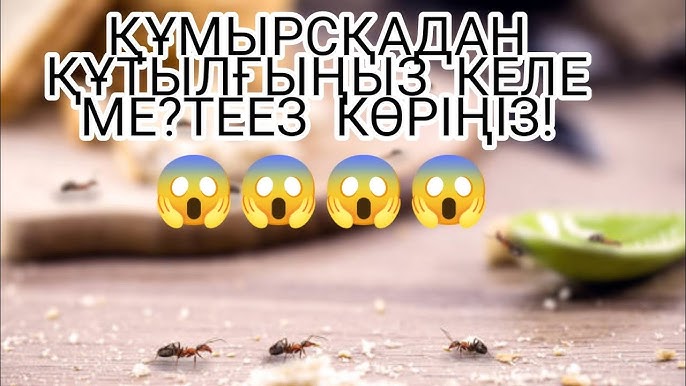 Алматыдағы мобильді порно