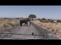 Safari in Meru Kenya October 2016 Part1