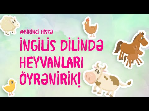 İNGİLİS DİLİNDƏ HEYVANLARI ÖYRƏNƏK! (Azərbaycan dilində qarşılığı ilə) #5