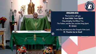 Fifteenth Sunday in Ordinary Time, Celebration of Sunday Mass, July 12, 2026