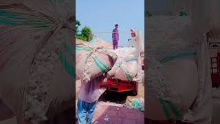 Download Lagu Multan ki kapass MP3