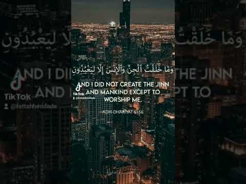 يقول تعالى وما خلقت الجن والإنس إلا ليعبدون أي إنما خلقتهم لآمرهم بعبادتي لا لاحتياجي إليهم
