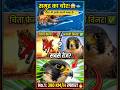 अगर ये 3 जानवर पीछे पड़ जाएं तो बचना नामुमकिन😱No.2 Shock!#shorts #facts#ytshorts#trending#hindifacts