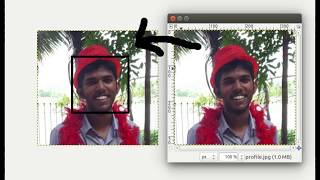 Create a border inside image using Gimp
