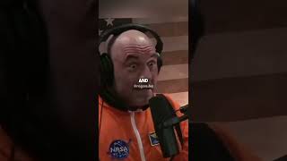 Powerful People Doing Rituals In The Woods - Bohemian Grove