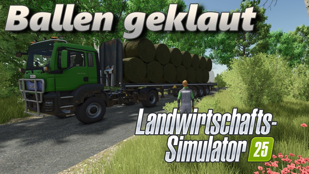 LS25 NF Marsch #22 Ballen geklaut