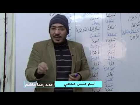 اسم جنس جمعي  أحمد رضا هاشم