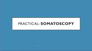 Somatoscopy-Practical