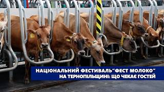 Національний фестиваль“Фест молоко” на Тернопільщині: що чекає гостей