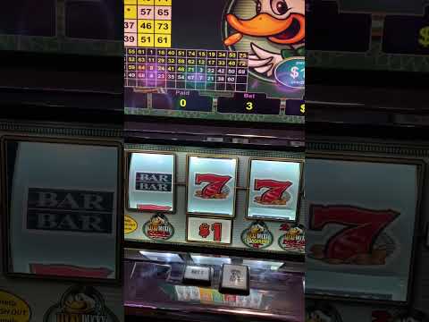 Bingo 75 Bolas em Casa Jogo 82 Brasil Bingo Online