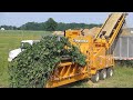 Amazing Fastest Wood Chipper Machine Working, Extreme Big Wood Processor Tree Shredder