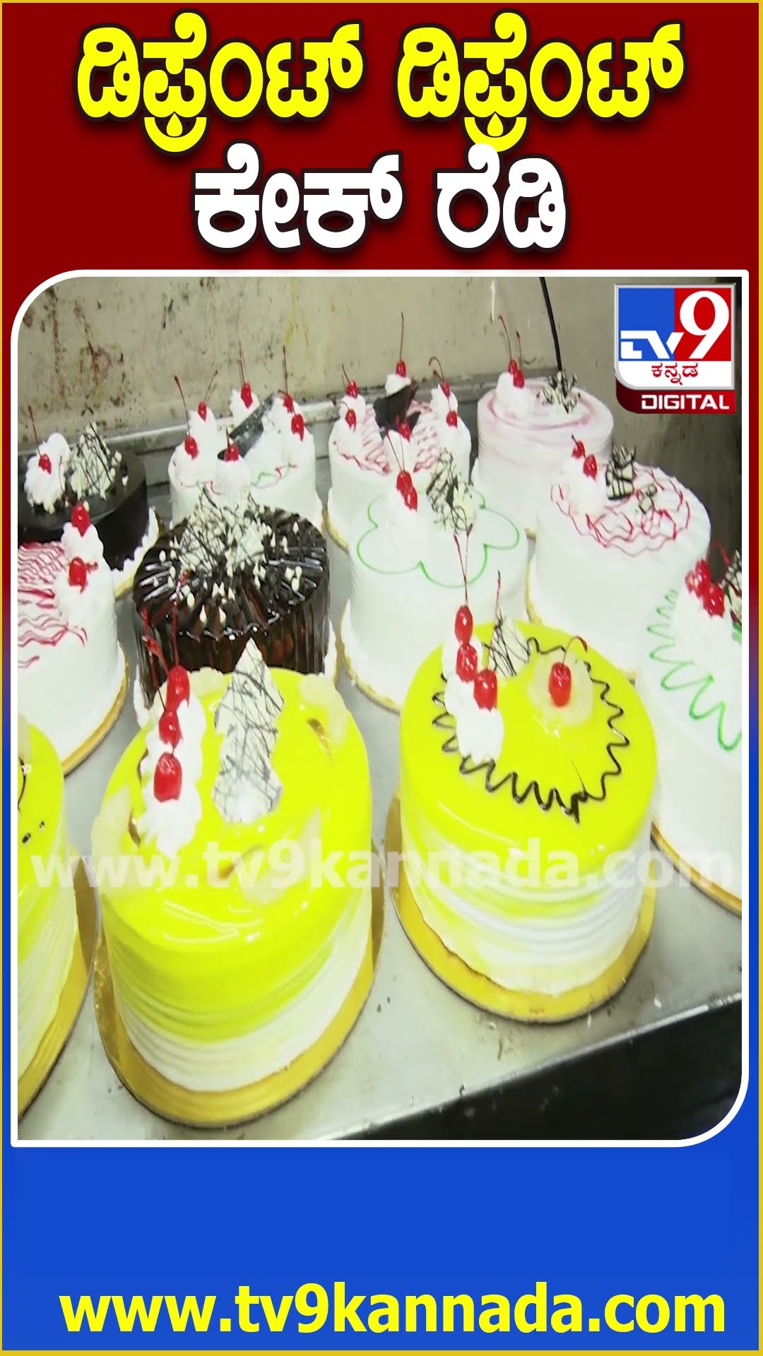 ಡಿಫ್ರೆಂಟ್​ ಡಿಫ್ರೆಂಟ್ ಕೇಕ್ ರೆಡಿ #Cake #Tv9D