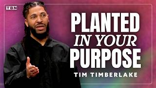 Your Difficult Season Is A Seed That's Being Planted! | Tim Timberlake Sermon