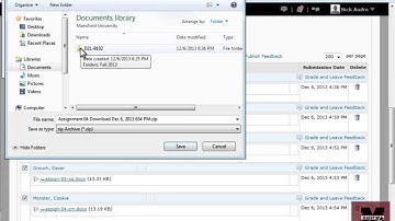 D2L 10.0 & 10.2 - Offline Grading (Full)