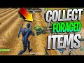 Forage For Food, Need Supplies! (Collect Foraged Items)