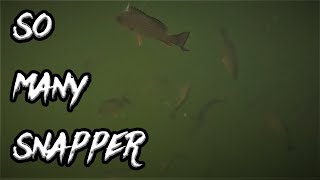 I FOUND the Snapper!! (Power-plant Warm Water Discharge Kayak Fishing)