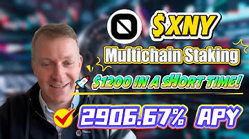 Beat a Bear Market: XNY in Codatta Strategies to Maintain APY 2906.67% and Cashflow