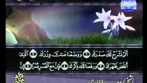 سعد الغامدي | سورة الشرح