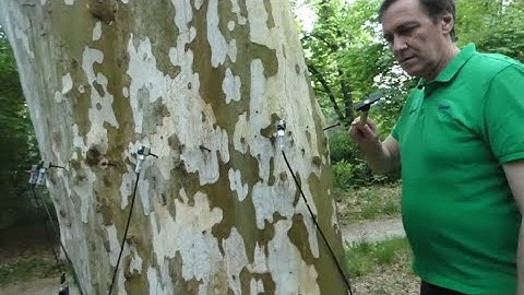 Measurement with Ludwig Sensors