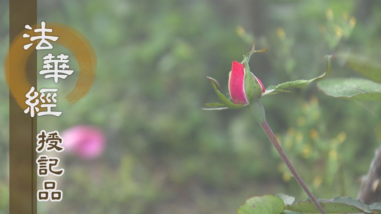 靜思妙蓮華 法華經授記品 等覺後身成應身佛 2104 第955集 Youtube 靜思妙蓮華 法華經授記品 等覺後身成應身佛 2104 第955集 Youtube