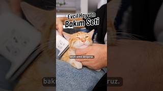 Evcil Dostlar İçin Harika Bir Keşif Kochler Kedi-Köpek Bakım Seti 