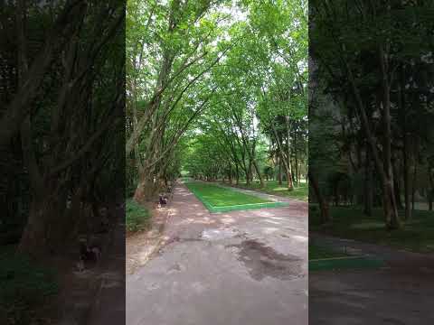 Video: Stryisky parko aprašymas ir nuotrauka - Ukraina: Lvovas