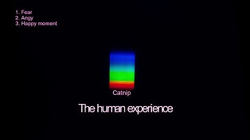 [FULL EP] Catnip - The Human Experience