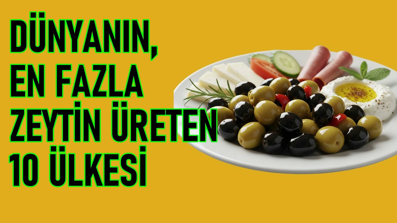 Dünyanın En Fazla Zeytin Üreten 10 Ülkesi! Türkiye'nin Zeytin Üretimi
