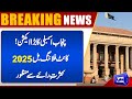 Punjab Assembly Takes Big Action: Kite Flying Bill 2025 Approved by Majority Vote | Dunya News