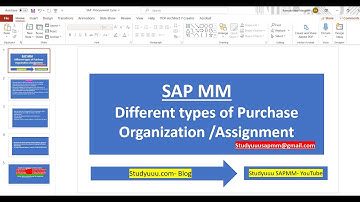 SAP MM--Types of Purchase Organisations to Define and assign to the Levels in company- Overview