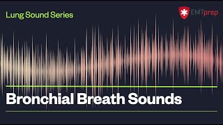 Bronchial Breath Sounds - EMTprep.com