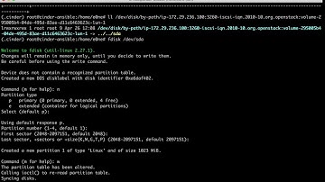 Cinder demo: OpenStack Ansible+LVM+Local attach