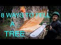 WORLD'S BEST TREE FELLING TUTORIAL! Way more information than you ever wanted on how to fell a tree!