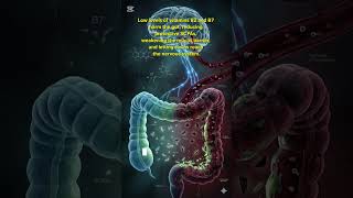 🧠🦠 Parkinson’s May Start in Your Gut — B Vitamins Could Be a Simple Game-Changer!