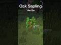 Minecraft Sapling Texture Evolution #shorts
