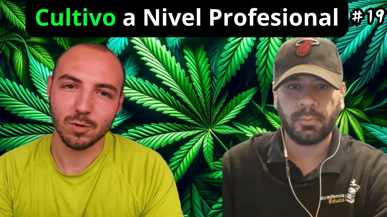 Cultivo de Cannabis Profesional, Living Soil, Geneticas y Terpenos | Gabi 🍃