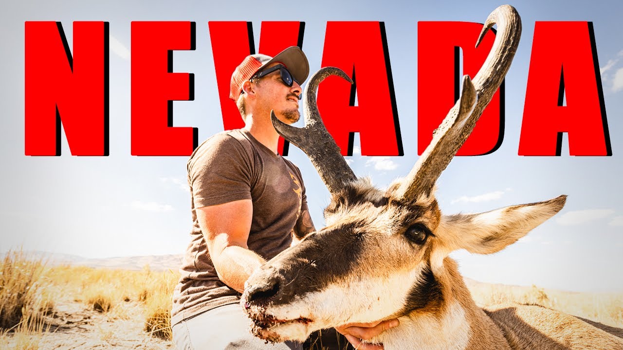 Nevada Antelope Hunt | Rifle | 2022 | Mountain Rat Film