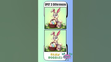 Spot The Difference: Visual Brain Exercise