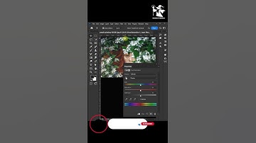 color splash in photoshop
