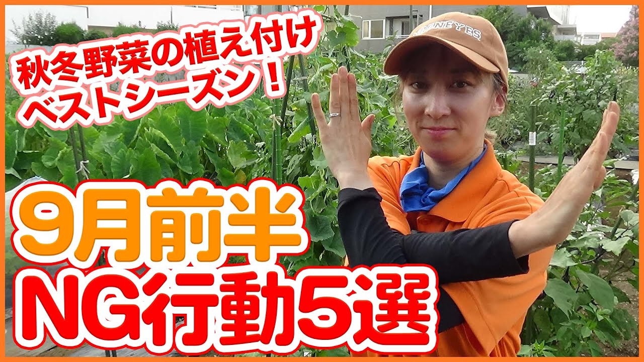 September work 5NG of winter vegetable cultivation to learn