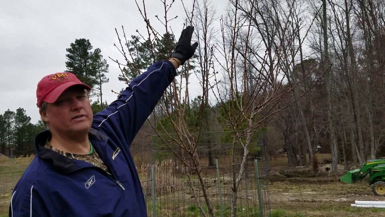 Too Much Water in the Swale Pt-1