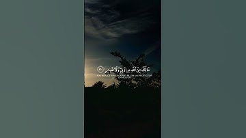 تلاوة هادئة تريح الأعصاب 😴🎧 القارئ: طارق محمد سورة: البقره 💙❤